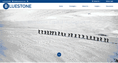 Desktop Screenshot of bluestonecm.com